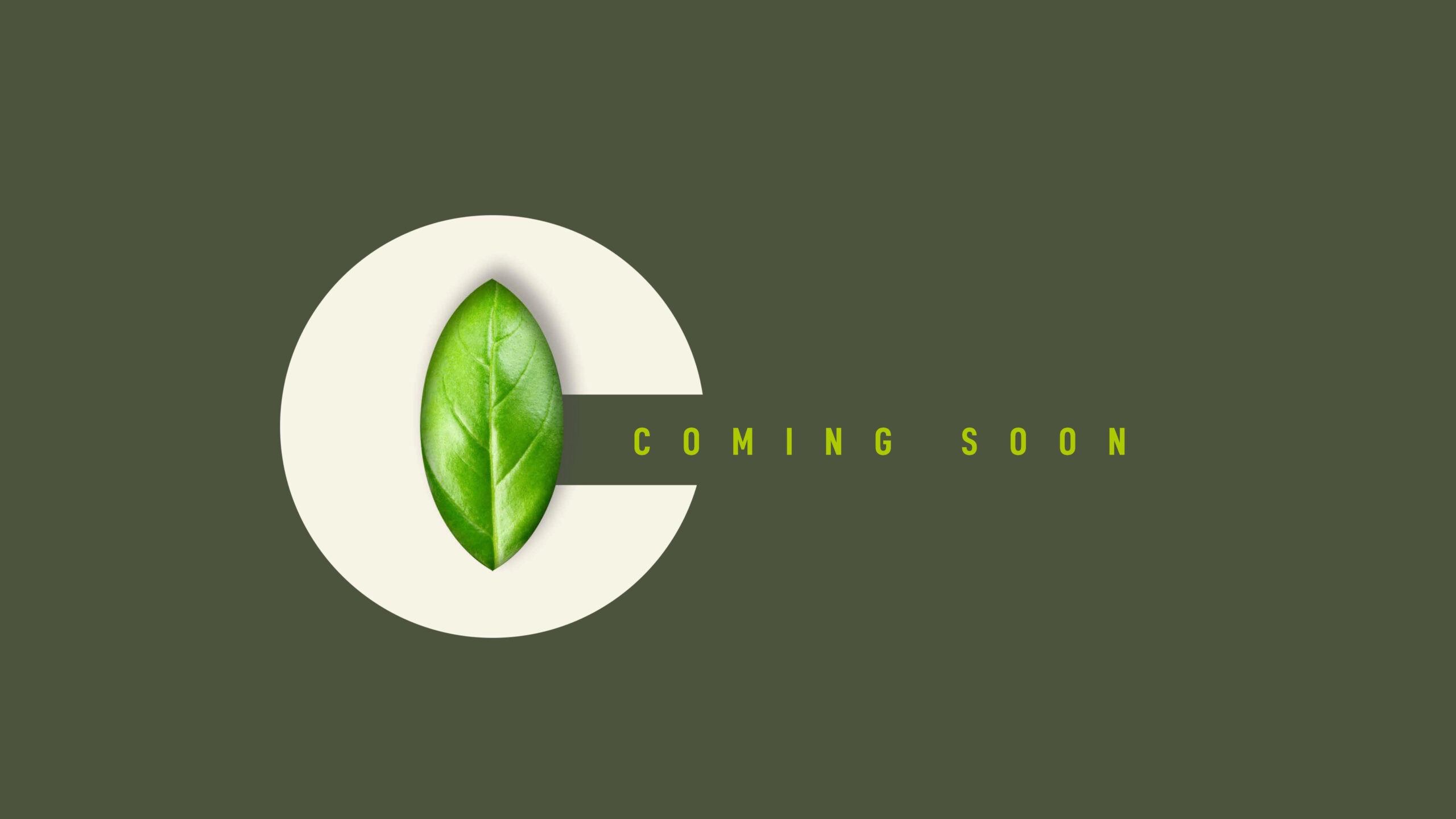 Culinary Brands